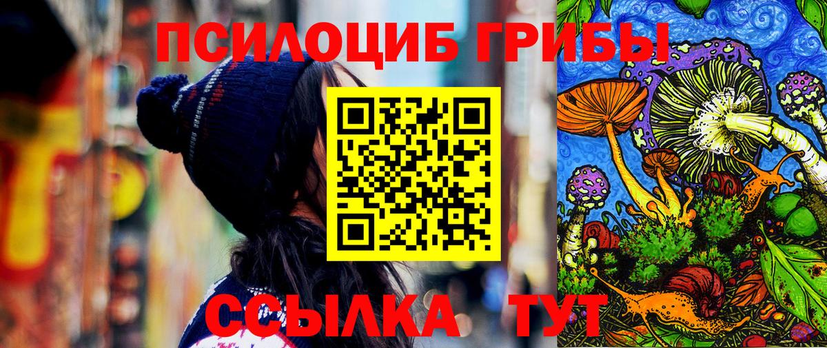 Галлюциногенные грибы Psilocybine cubensis  Вход с VPN  Псилоцибиновые грибы мицелий  Елец 
